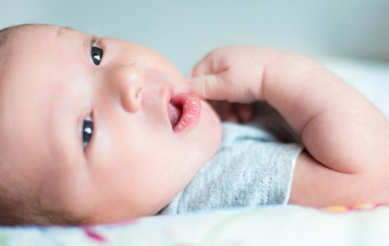 Image of full custody or temporary custody of a child in Illinois or Michigan